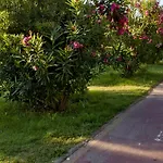 Casabianca 3*